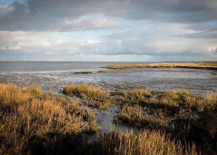 Gepflegtes Luettje-lara In